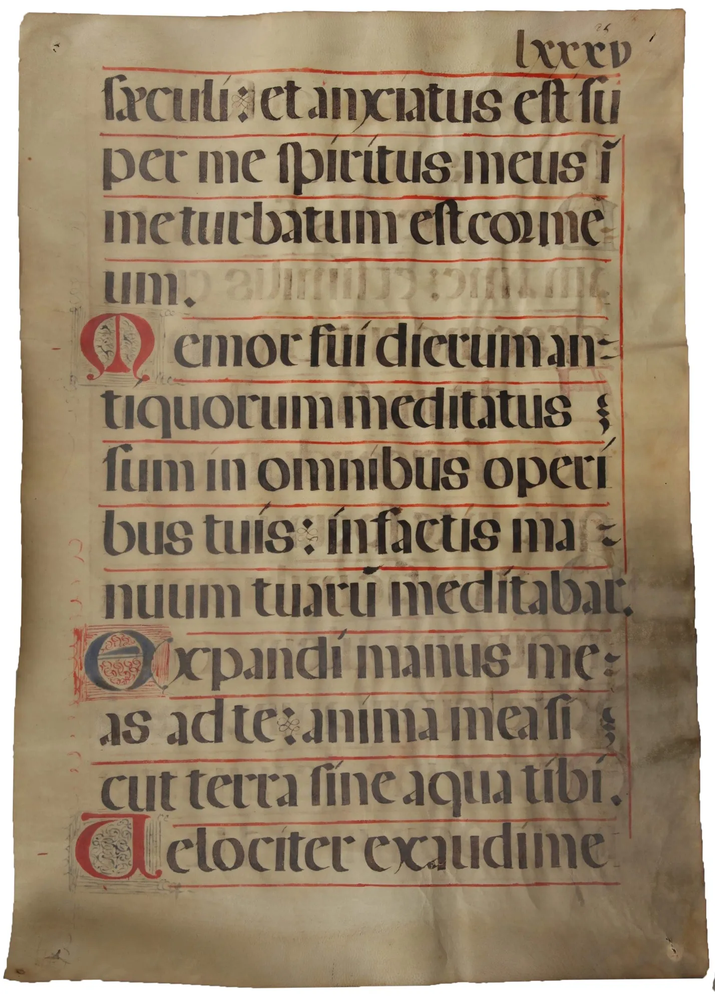 Feuillet manuscrit latin encrassé et assombri, avant nettoyage