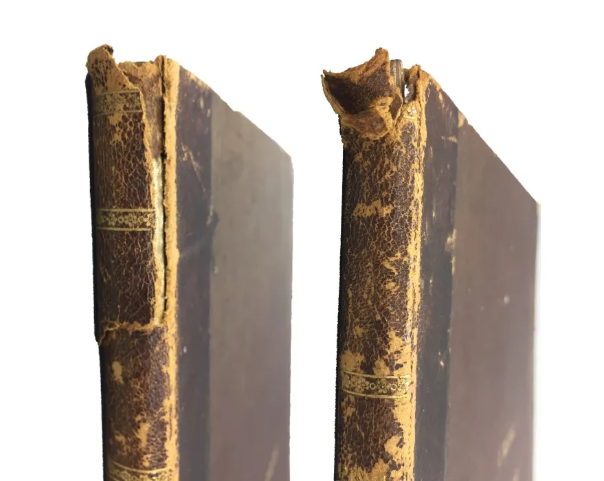 Dos de reliures anciennes