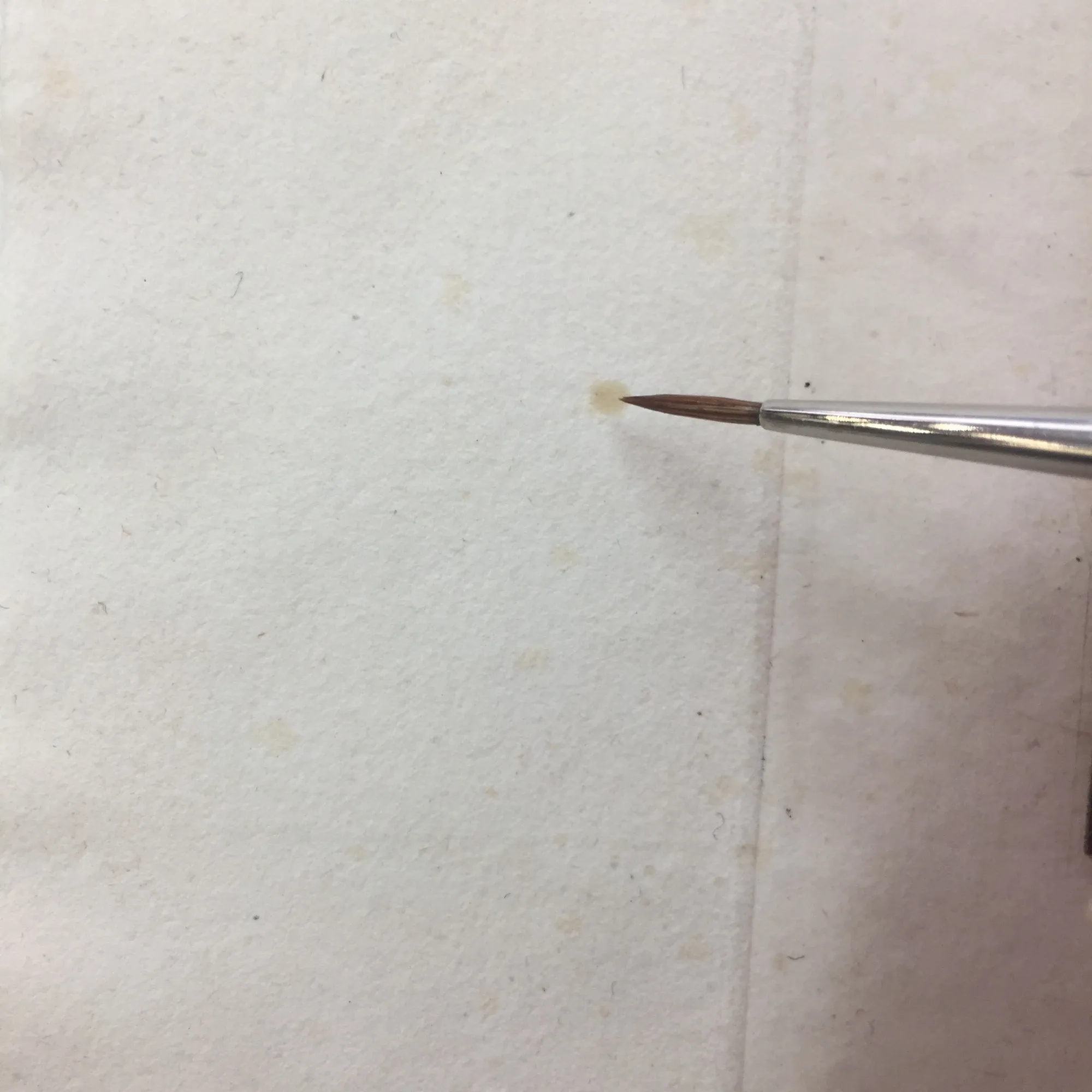 Feuille de papier en cours de traitement aqueux
